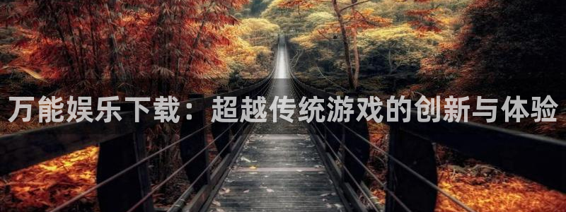 one游戏