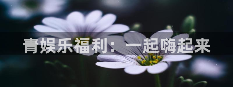 one游戏体育平台