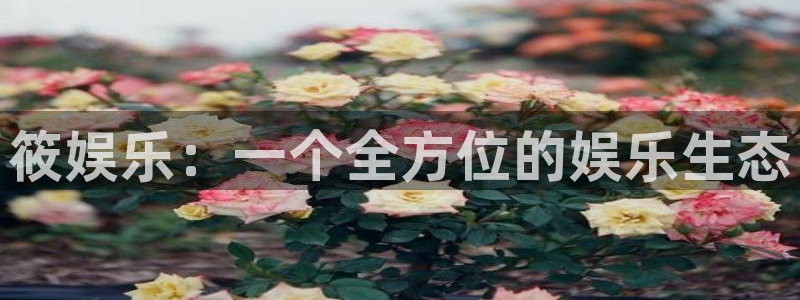 one游戏网站
