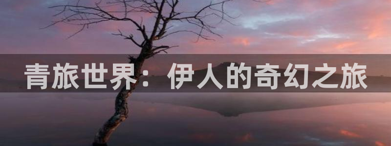 one游戏