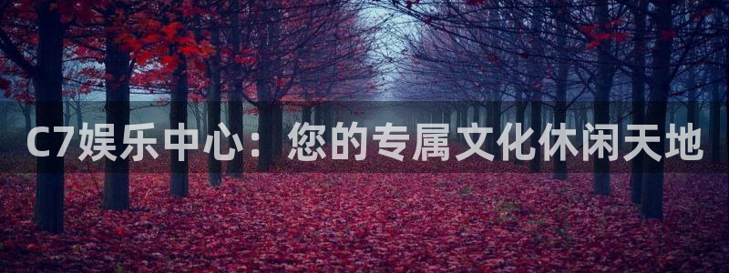 one游戏