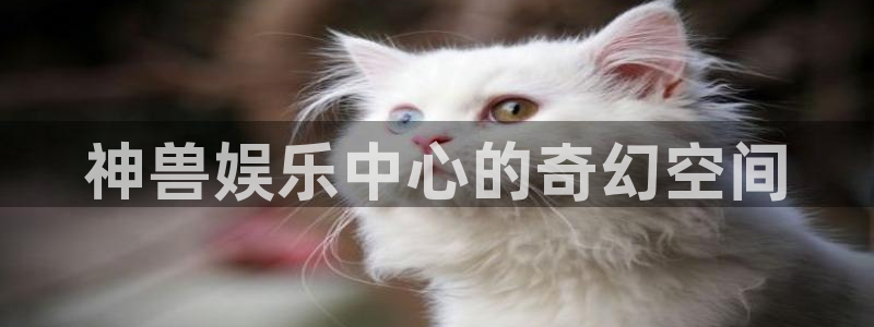 one游戏平台官网入口